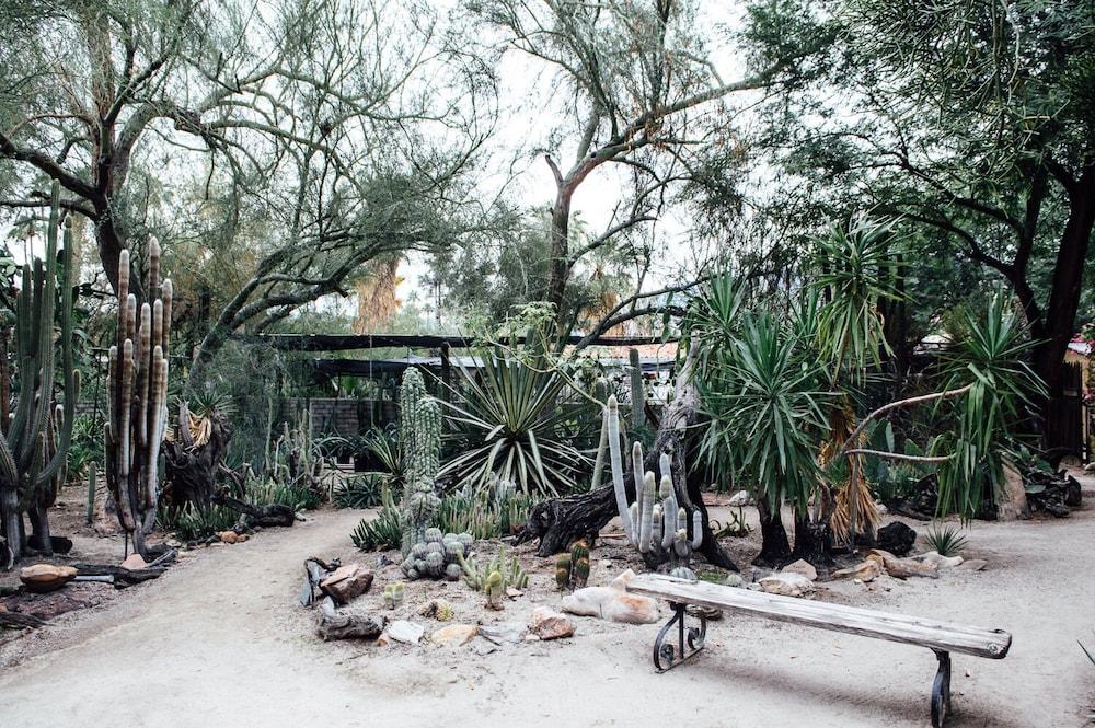 Desert Lodge Palm Springs Exterior photo