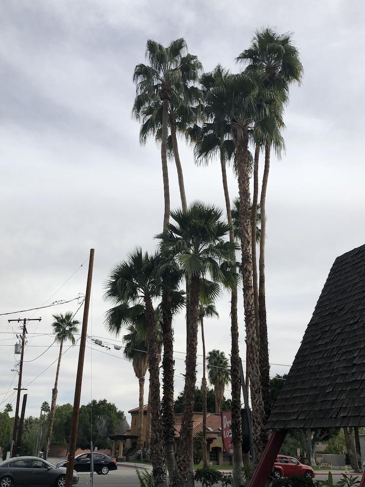 Desert Lodge Palm Springs Exterior photo