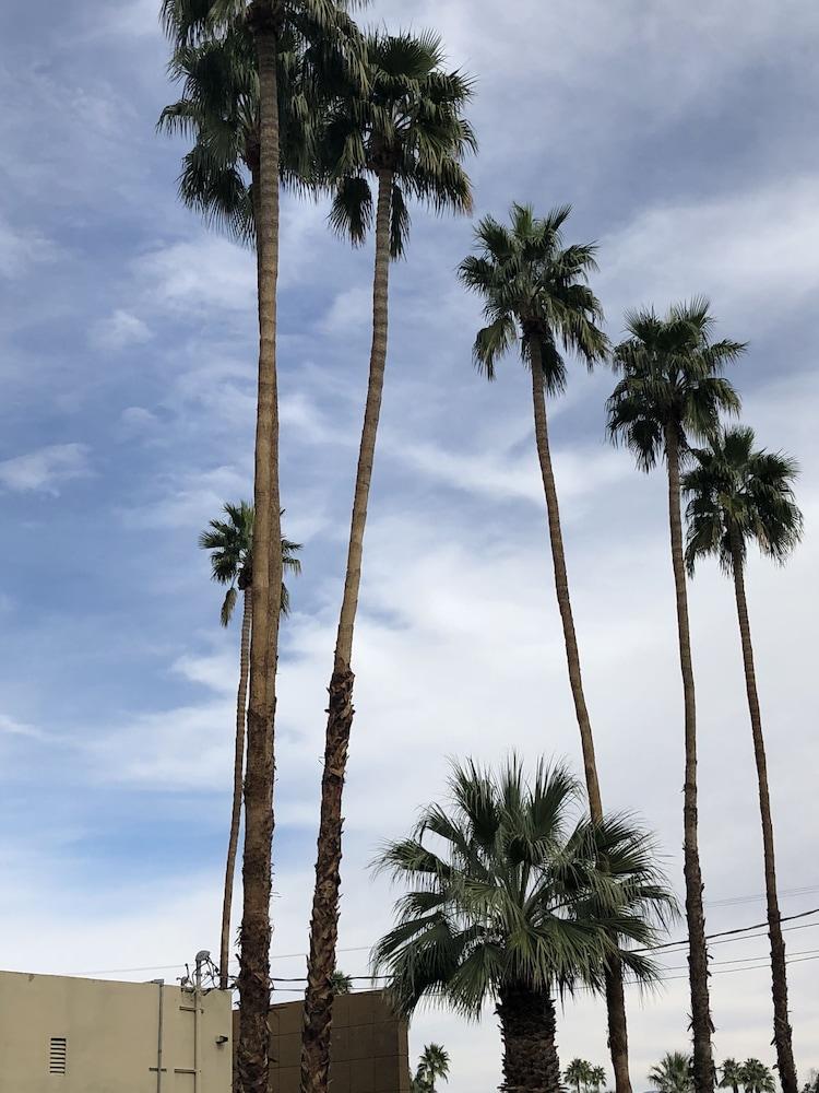 Desert Lodge Palm Springs Exterior photo